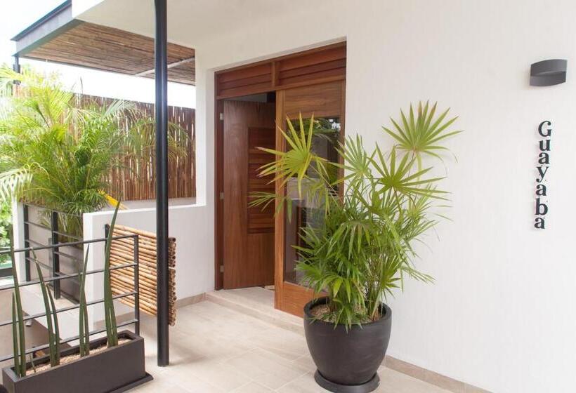 테라스 주니어 스위트, Latino Hotel Boutique