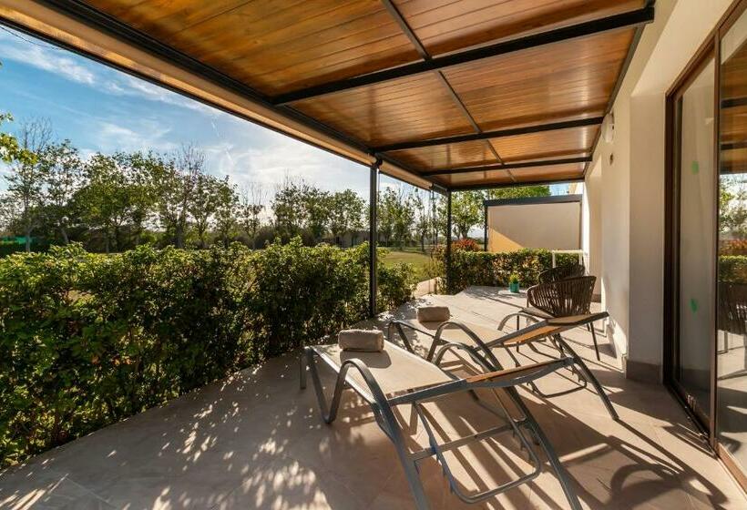 بانگلوی استاندارد, Valentin Playa de Muro