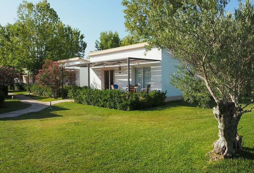 بانگلوی استاندارد, Valentin Playa de Muro