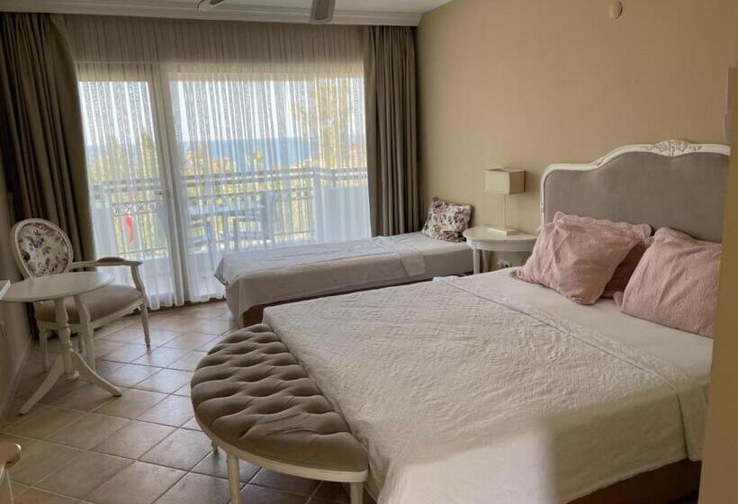 Номер Стандарт Трехместный, Carina Entertainment