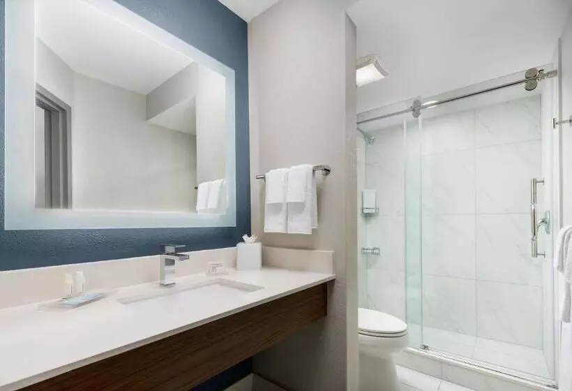 スイート, Courtyard By Marriott Orlando Lake Buena Vista At Vista Centre