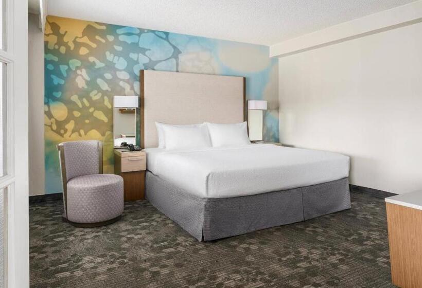 سوئیت با تخت بزرگ, Courtyard By Marriott Orlando Lake Buena Vista At Vista Centre