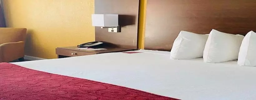 ２ダブルベッドのスタンダードルーム, Ramada By Wyndham Tampa Westshore Airport South