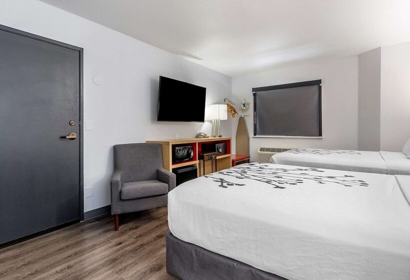 غرفه قياسيه سريرين مزدوجين, Sleep Inn & Suites