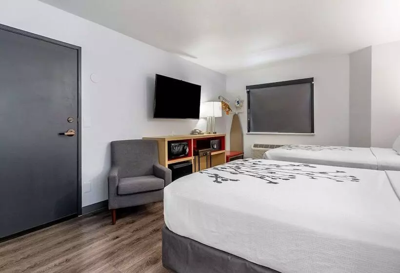 ２ダブルベッドのスタンダードルーム, Sleep Inn & Suites