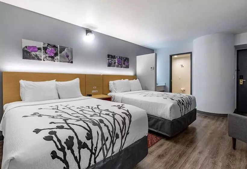 ２ダブルベッドのスタンダードルーム, Sleep Inn & Suites