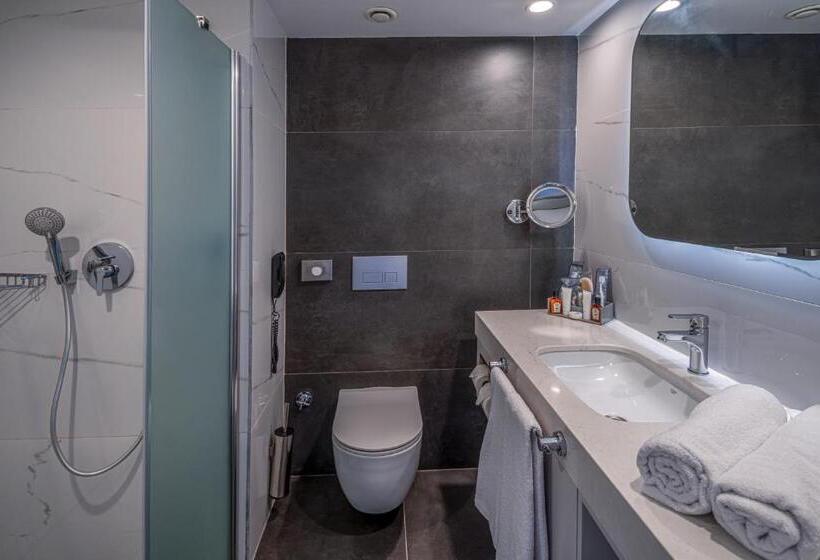 اتاق استاندارد با چشمانداز استخر, Swandor Hotels & Resorts   Kemer