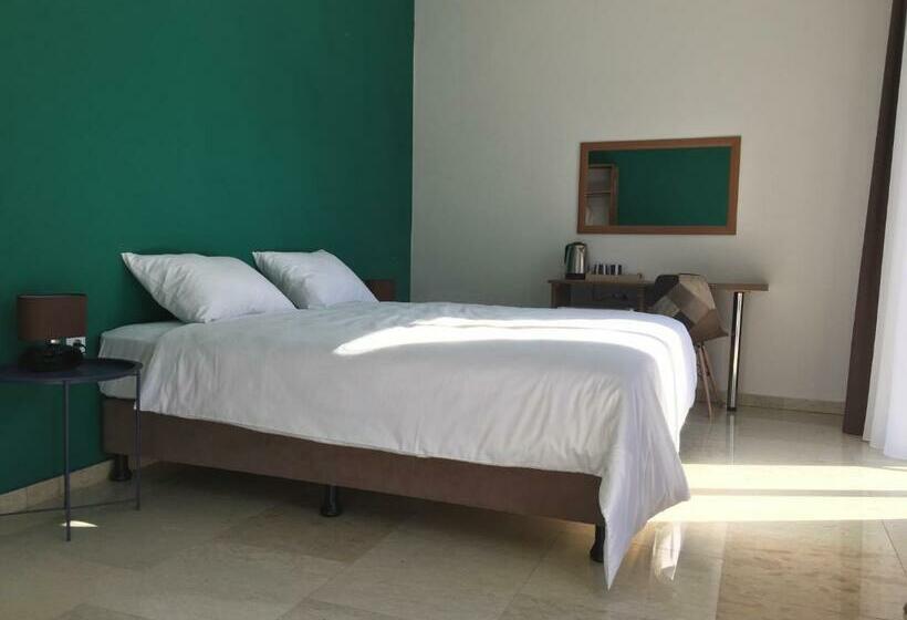 اتاق استاندارد با چشم‌انداز کوهستان, Shushabandi Kazbegi