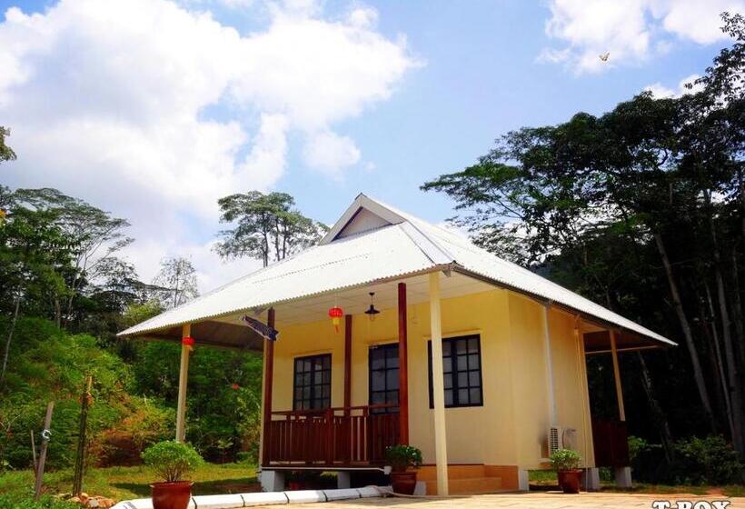 בקתה, T-box Sungai Lembing