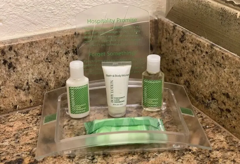 اتاق استاندارد, Holiday Inn Hotel Port Of Miami Downtown, An Ihg