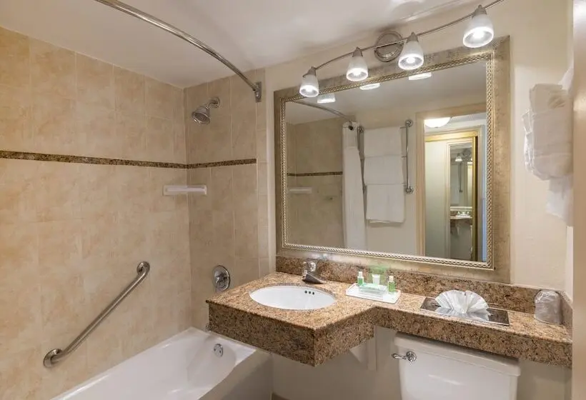 اتاق استاندارد با 2 تخت دوبل, Holiday Inn Hotel Port Of Miami Downtown, An Ihg