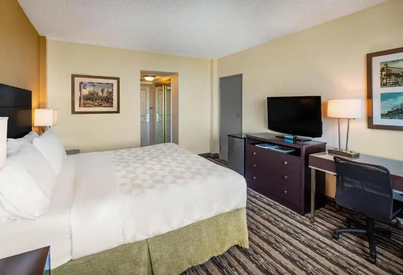 اتاق استاندارد با تخت بزرگ, Holiday Inn Hotel Port Of Miami Downtown, An Ihg