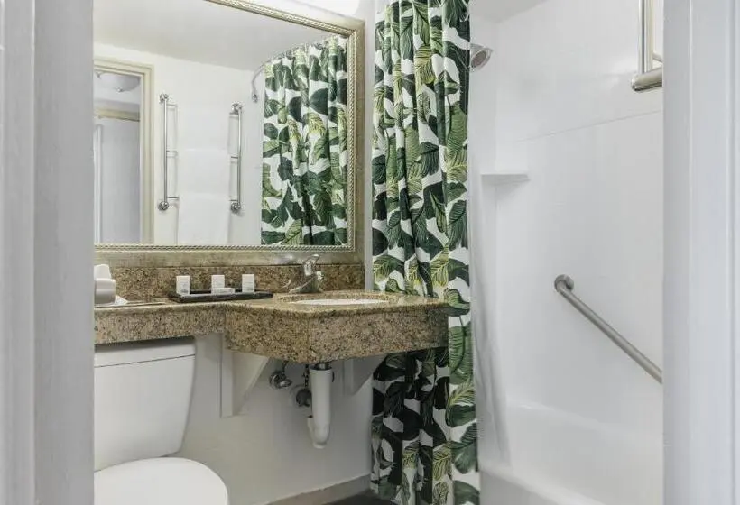 اتاق استاندارد با تخت بزرگ, Holiday Inn Hotel Port Of Miami Downtown, An Ihg