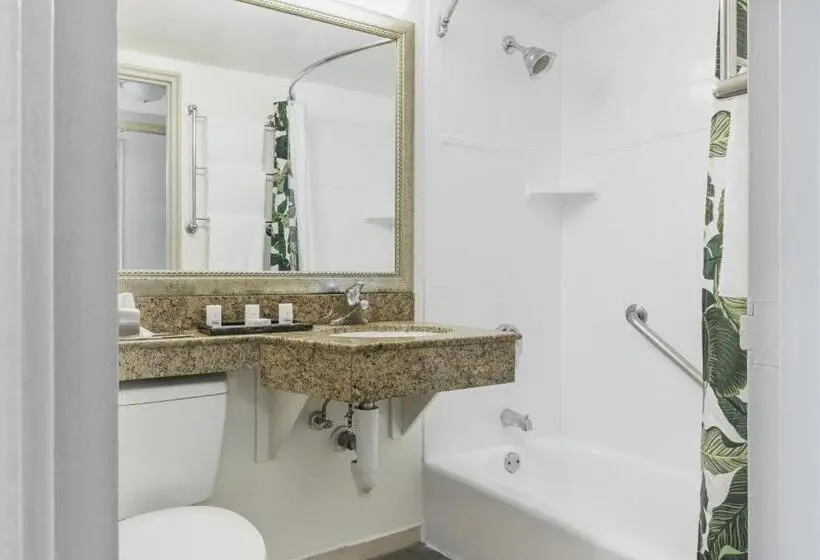 اتاق استاندارد با تخت بزرگ, Holiday Inn Hotel Port Of Miami Downtown, An Ihg