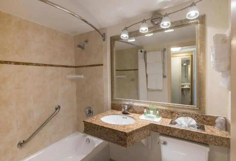 اتاق لوکس, Holiday Inn Hotel Port Of Miami Downtown, An Ihg