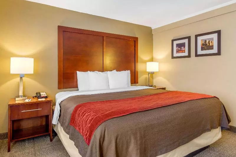 キングサイズベッドのスタンダードルーム, Comfort Inn Denver Central