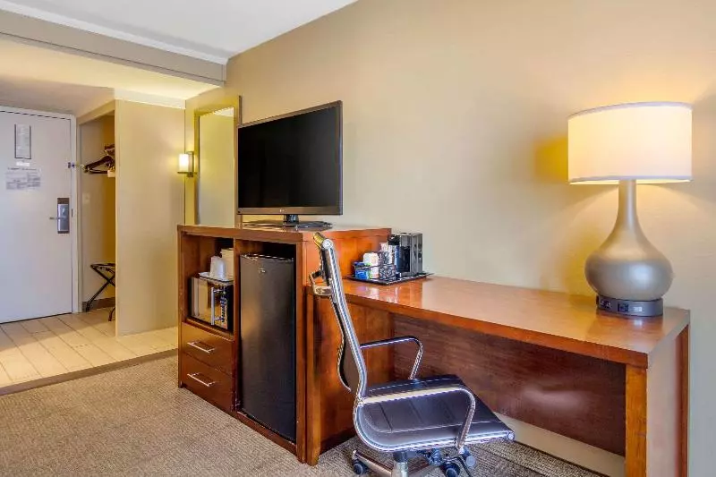 キングサイズベッドのスタンダードルーム, Comfort Inn Denver Central