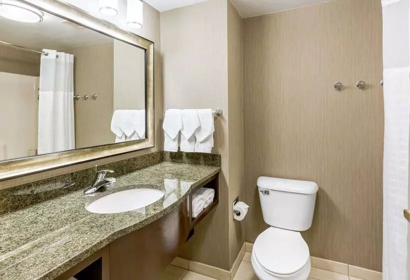 スイート, Comfort Inn & Suites Logan International Airport