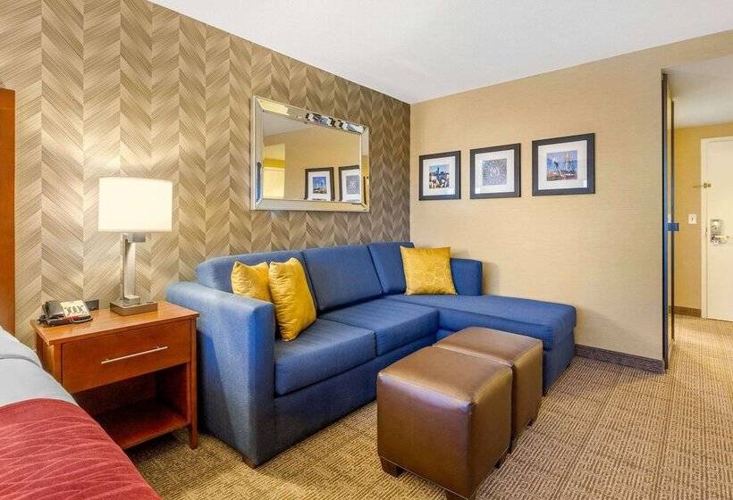 جناح, Comfort Inn & Suites Logan International Airport