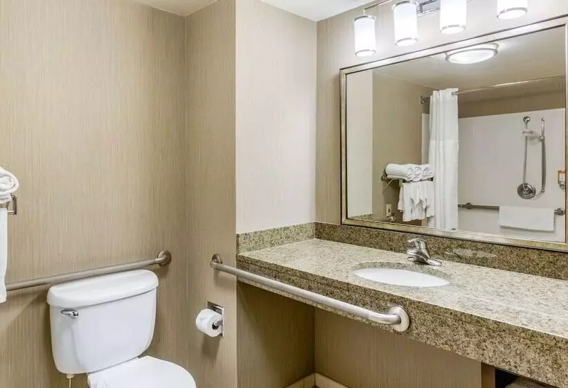 身障者適用スイートルーム, Comfort Inn & Suites Logan International Airport
