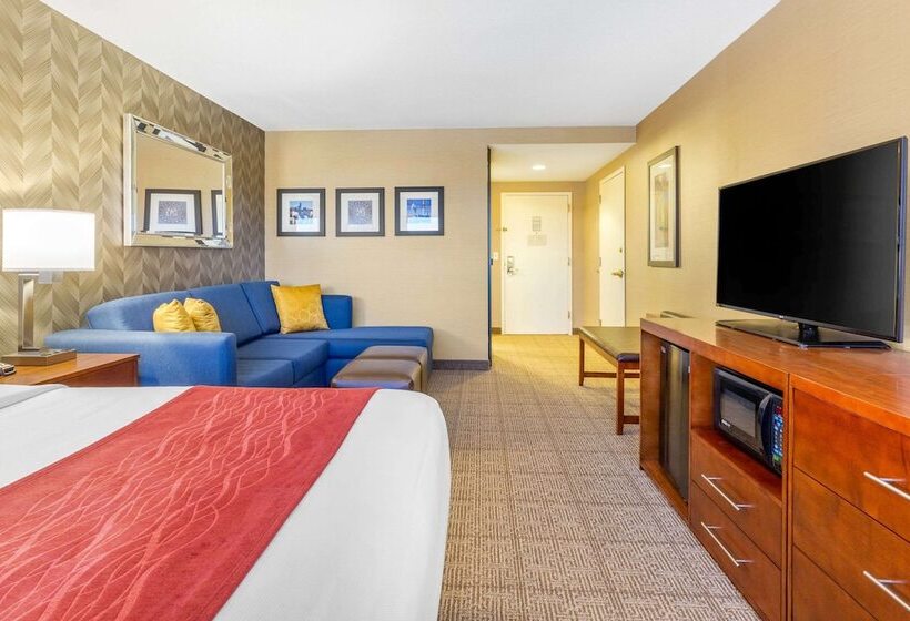 סוויטה מותאמת לאדם עם מוגבלויות, Comfort Inn & Suites Logan International Airport