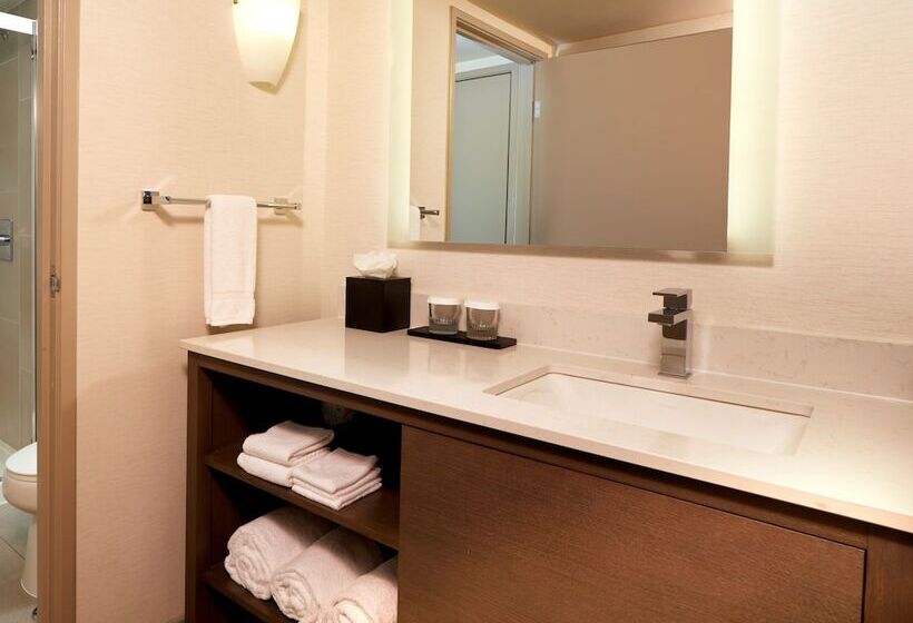 سوییت, Embassy Suites By Hilton Phoenix Scottsdale