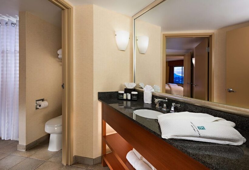 سوییت, Embassy Suites By Hilton Phoenix Scottsdale