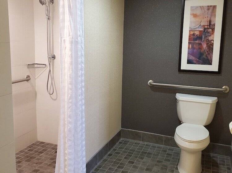 سوئیت برای معلولان, Embassy Suites By Hilton Phoenix Scottsdale