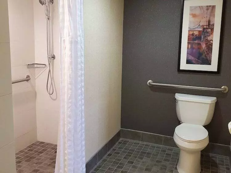 سوئیت برای معلولان, Embassy Suites By Hilton Phoenix Scottsdale