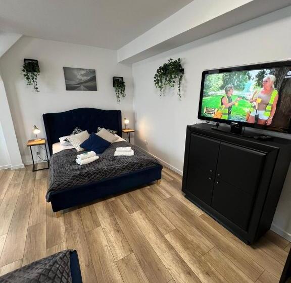 Люкс Superior, Great Polonia Wrocław Tumski