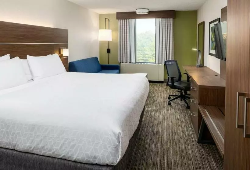 اتاق استاندارد, Holiday Inn Express Atlanta Airport College Park, An Ihg