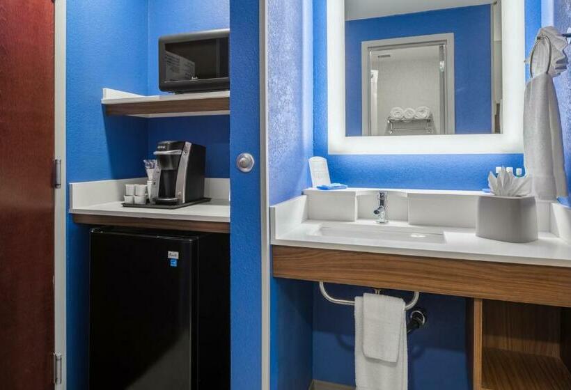 Стандартный Номер Кровать Кинг, Holiday Inn Express Atlanta Airport College Park, An Ihg