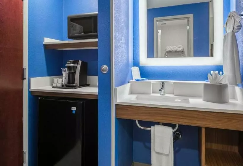 اتاق استاندارد با تخت بزرگ, Holiday Inn Express Atlanta Airport College Park, An Ihg