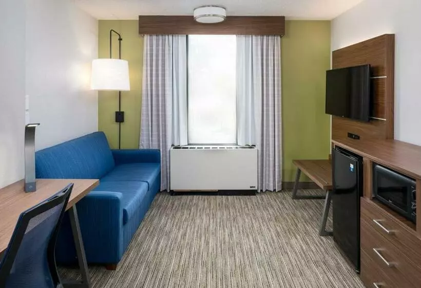 اتاق استاندارد با تخت بزرگ, Holiday Inn Express Atlanta Airport College Park, An Ihg