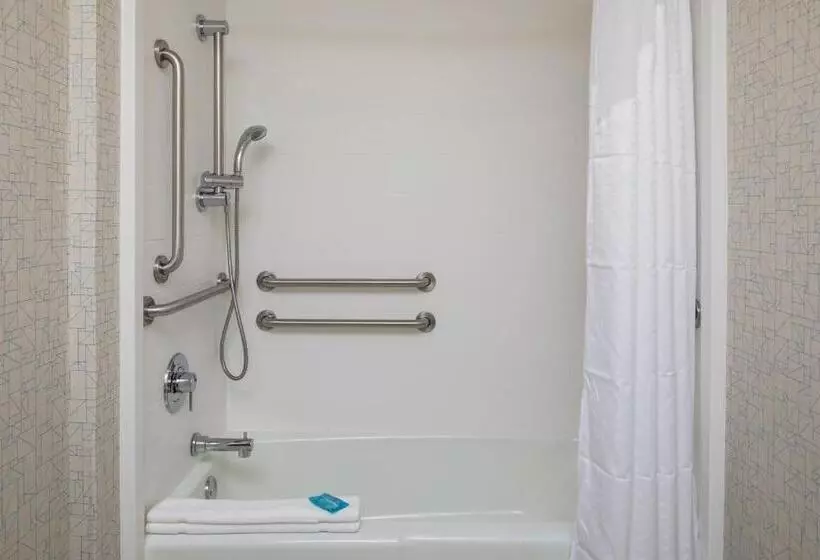 اتاق استاندارد برای معلولان, Holiday Inn Express Atlanta Airport College Park, An Ihg