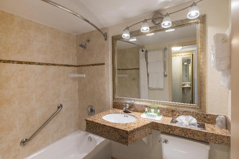 带大床的标准间, Holiday Inn Hotel Port Of Miami Downtown, An Ihg