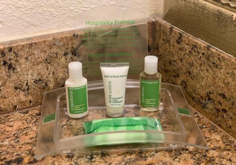 חדר סטנדרט, Holiday Inn Hotel Port Of Miami Downtown, An Ihg