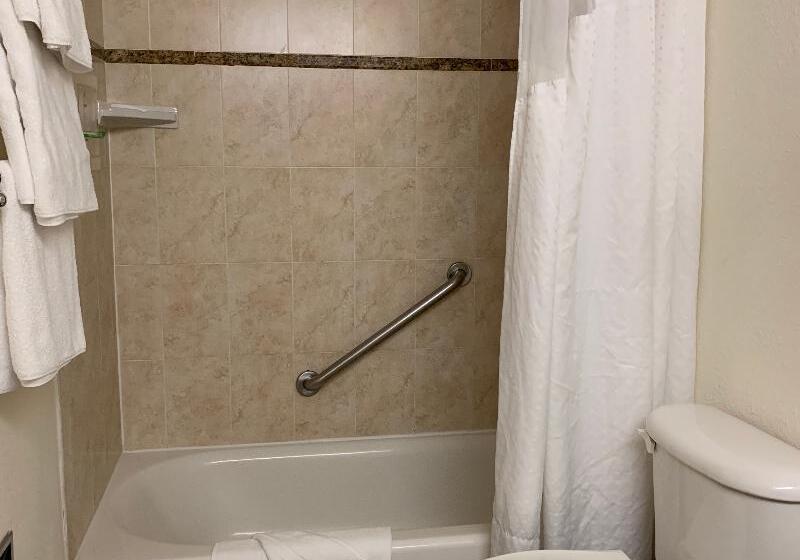 غرفة قياسية, Holiday Inn Hotel Port Of Miami Downtown, An Ihg