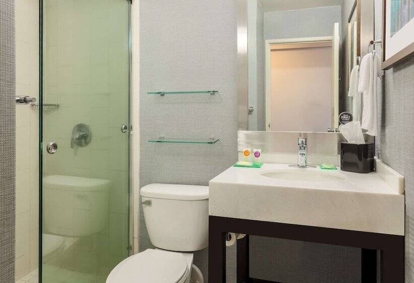 غرفه قياسيه سريرين مزدوجين, Hyatt Place San Jose, Downtown