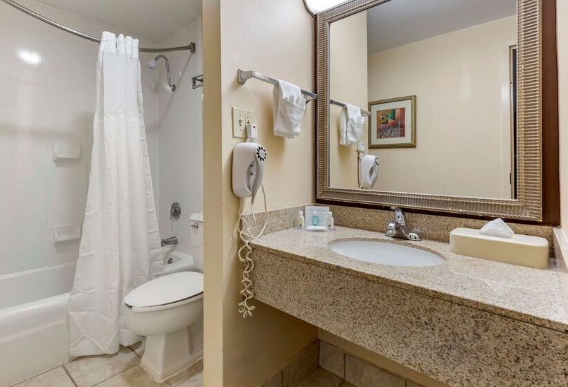 Люкс, Quality Inn & Suites Hanes Mall