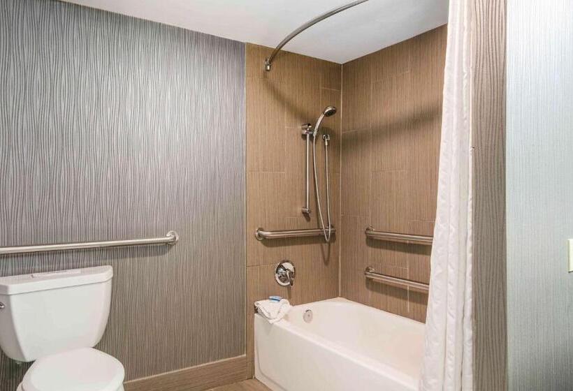 اتاق استاندارد با تخت بزرگ, The Capitol Hotel Downtown, Ascend Hotel Collection