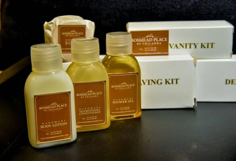 이그제큐티브 룸, Rosmead Place By Thilanka