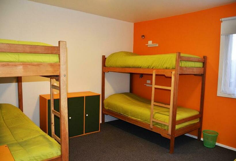 سرير فى غرفة مشتركه, El Patagónico Hostel
