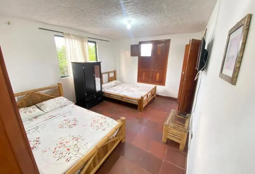 اتاق استاندارد چهار تخته, Finca Hotel Los Cocos