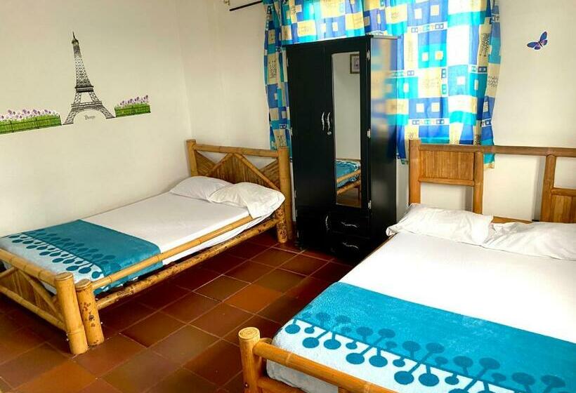 Четырехместный Номер Стандарт, Finca Hotel Los Cocos