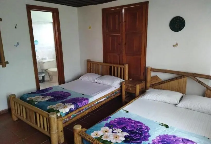 اتاق استاندارد چهار تخته, Finca Hotel Los Cocos
