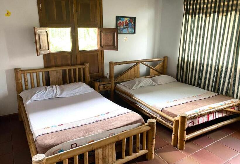 Четырехместный Номер Стандарт, Finca Hotel Los Cocos