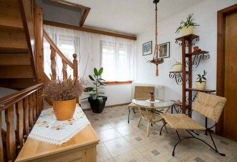 اتاق عادی, Sobe Odar Andrej