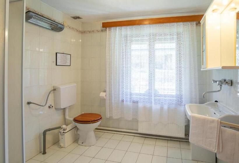 اتاق استاندارد با چشمانداز کوهستان, Sobe Odar Andrej