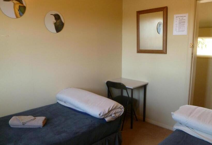 이코노미 룸, Kaniere